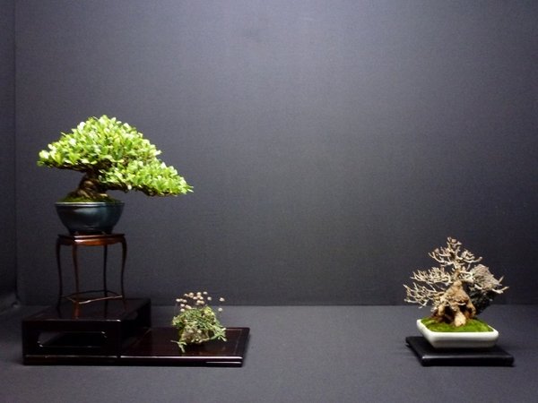 P1010926.jpg
