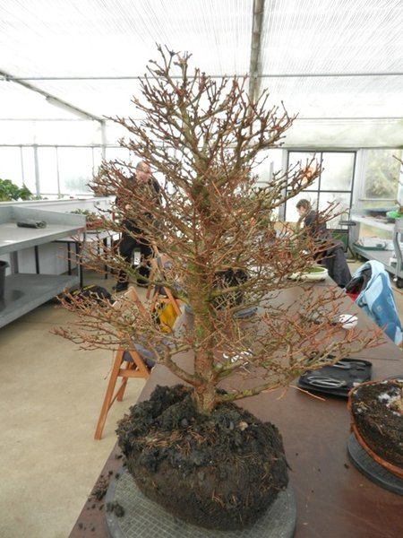DSCN0923.JPG