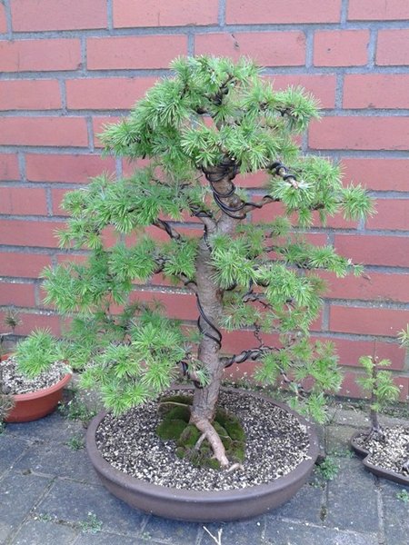 2013-04-20 11.36.22.jpg