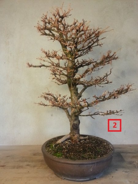 20131206_105425.jpg