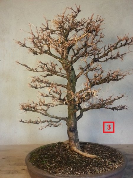 20131206_105446.jpg