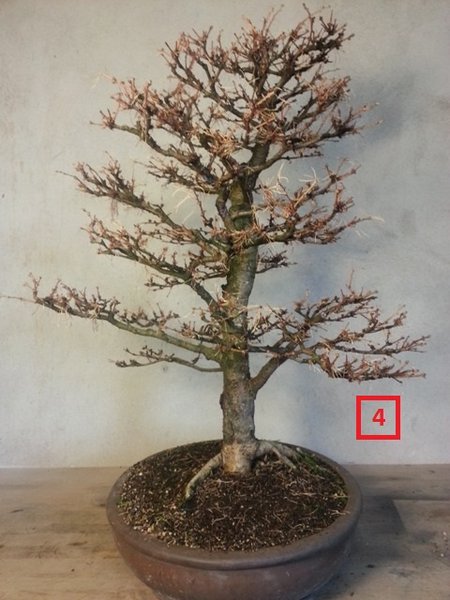 20131206_105509.jpg