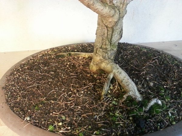 20131206_105521.jpg