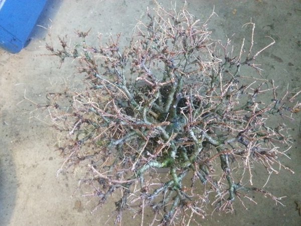 20131206_105629.jpg