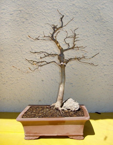 April 2010 in neuer Schale