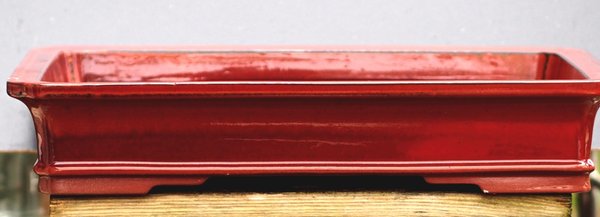 Schale rot.jpg