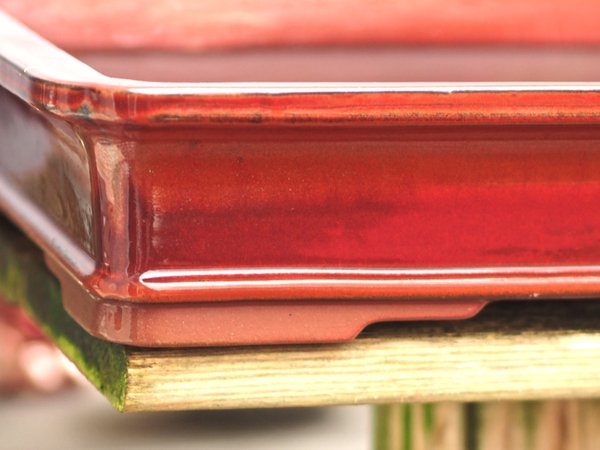 Scahle rot Detail.jpg