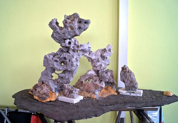 SteineplatzPlatte7.jpg