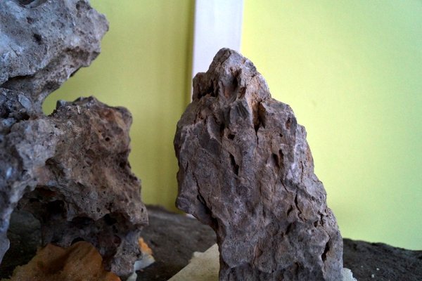 SteineplatzPlatte11.jpg