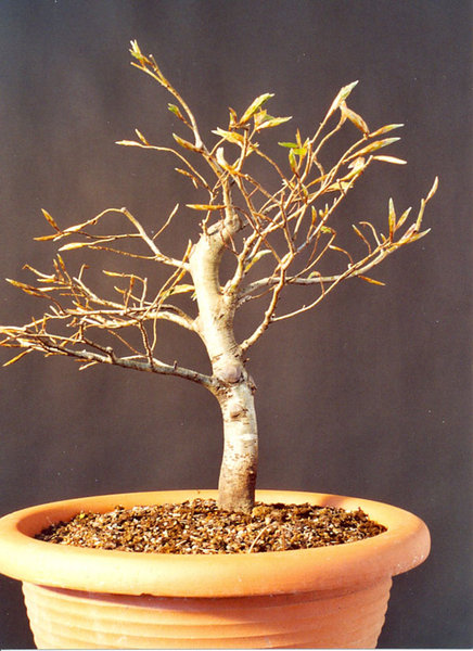 Frühjahr 2002