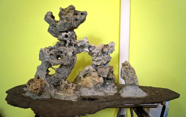 SteineplatzPlatte17.jpg