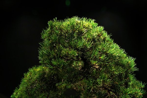 Zuisho29102013_3.jpg