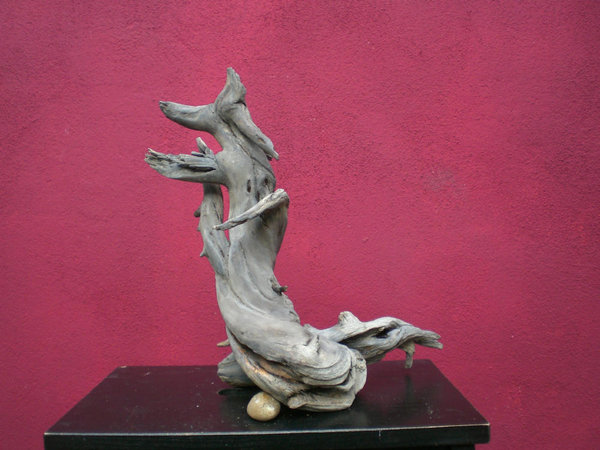 CIMG5554.JPG