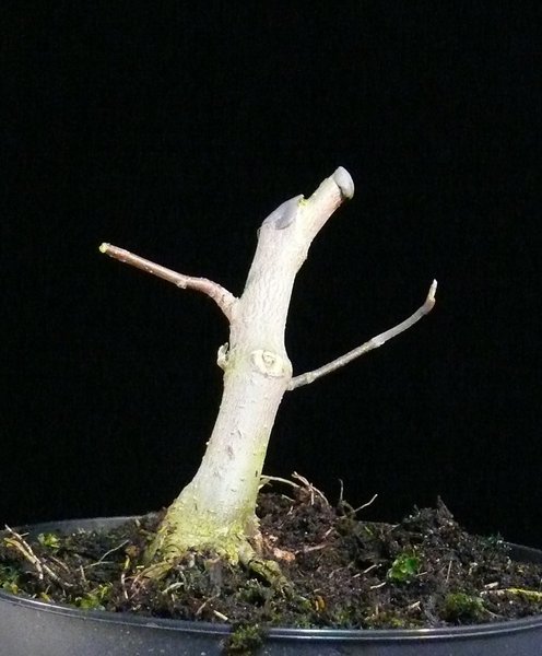 P1070391k.JPG