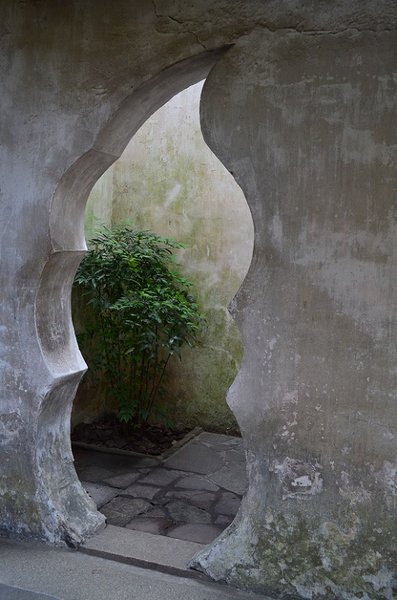 DSC_0050.1jpg.jpg
