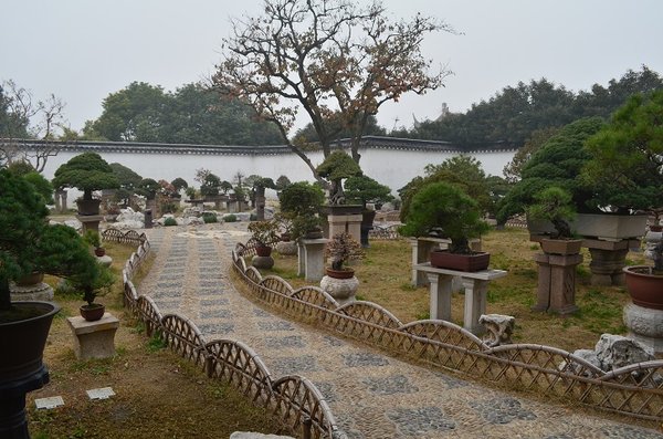 DSC_0298.1jpg.jpg