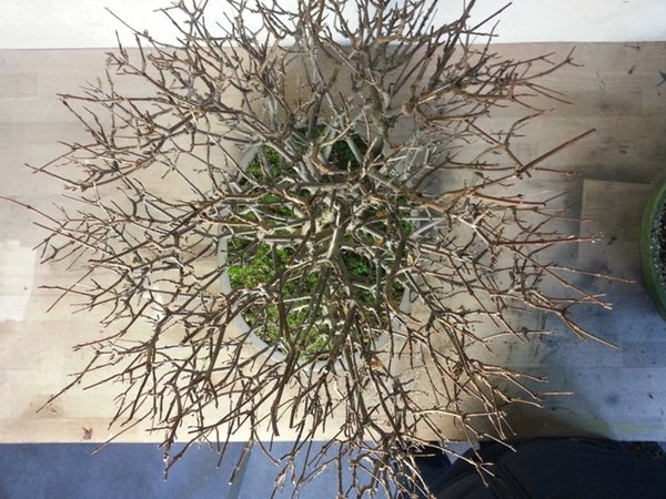 20140119_125838.jpg