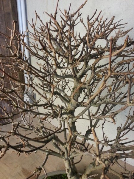 20140119_125859.jpg