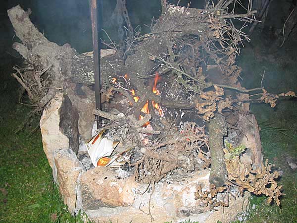 bonsaifeuer-004.jpg