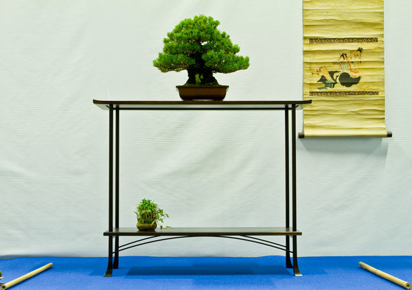 Pinus parviflora 'zuisho'<br />Mädchenkiefer<br />Bob van Ruitenbeek (NL)<br />Schale: Japan
