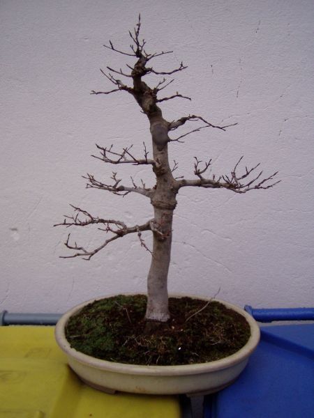 vorerst fertig..