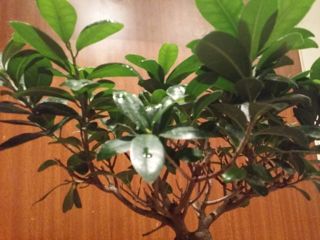 20140126_182007.jpg