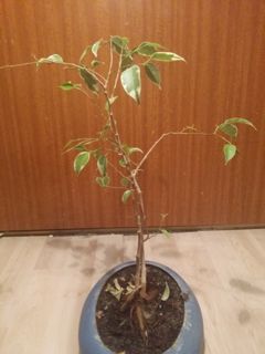 20140126_190732.jpg