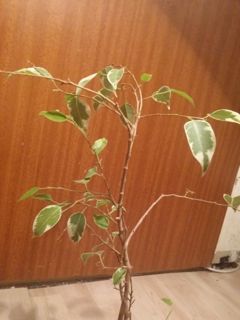 20140126_190741.jpg
