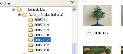 einfache Lösung für die Fotoverwaltung