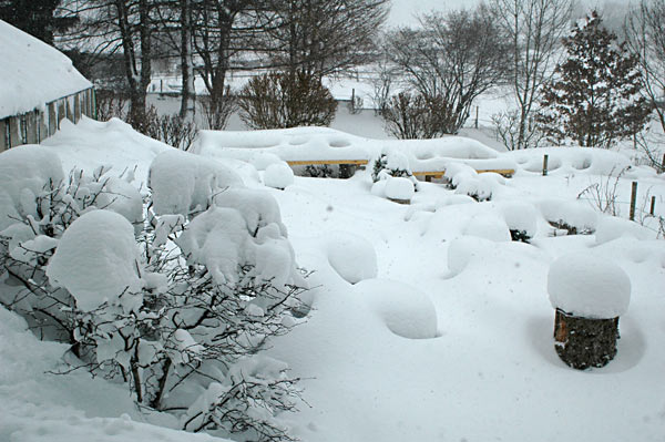 Dsc_2828v.jpg