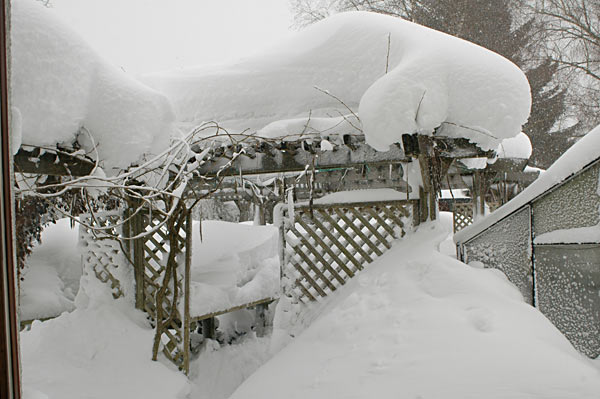 Dsc_2829v.jpg