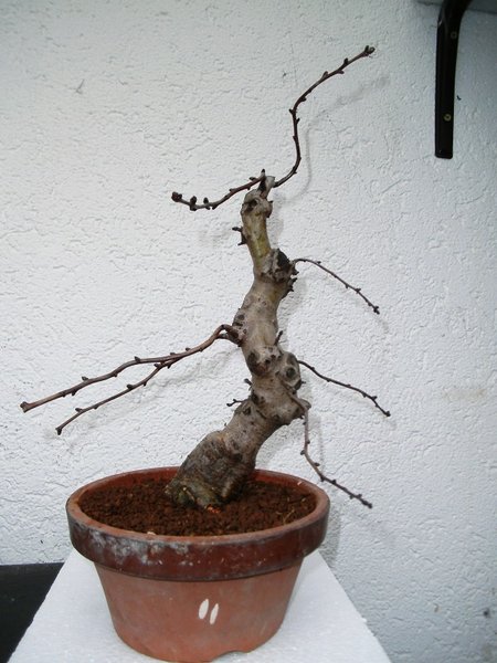 Vorderseite