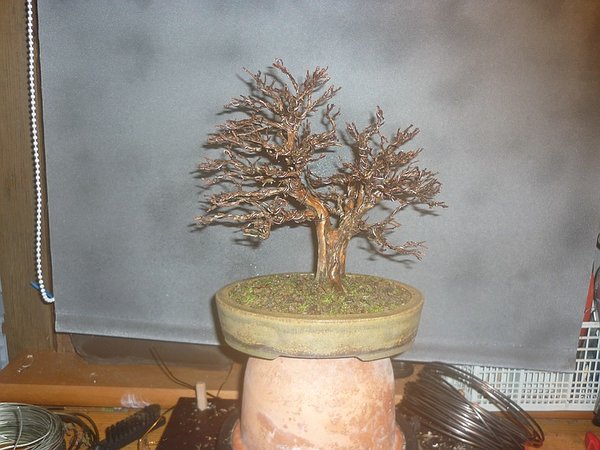 comp_P1010289.jpg