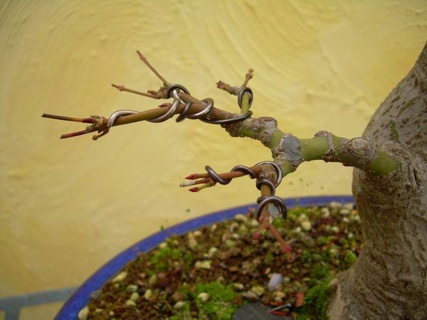 ..und im Herbst 2013
