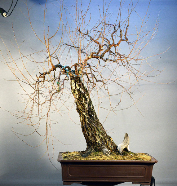 2014-02.jpg