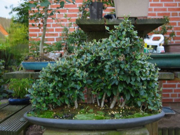 2003-06-29.jpg