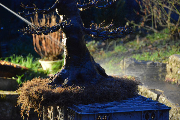 2014-03-12.jpg