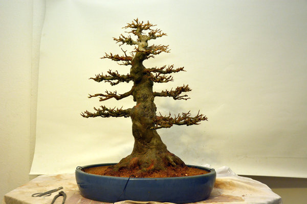 2014-03-21.jpg