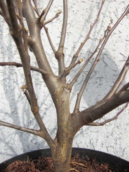 CIMG0476.JPG