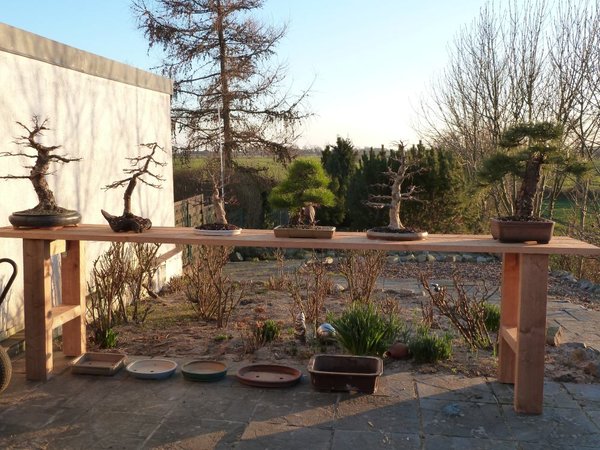 Garten.jpg