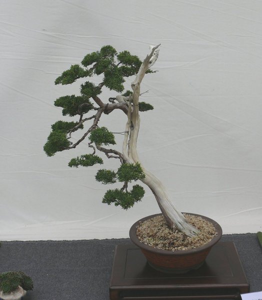 P1100001k.JPG