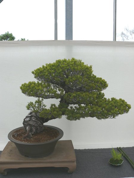 P1100002k.JPG