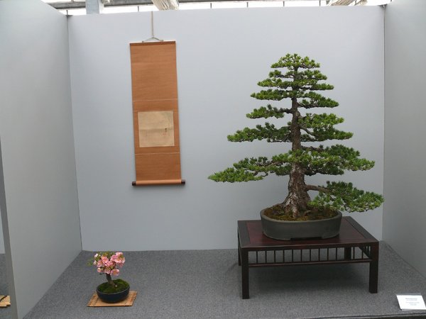 P1100018k.JPG