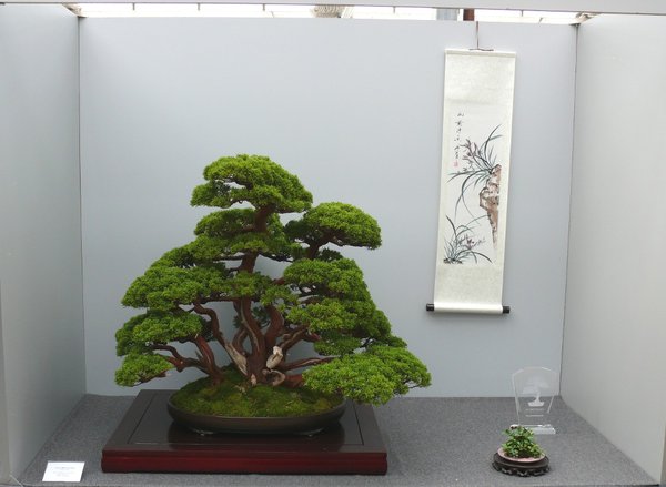 P1100020k.JPG