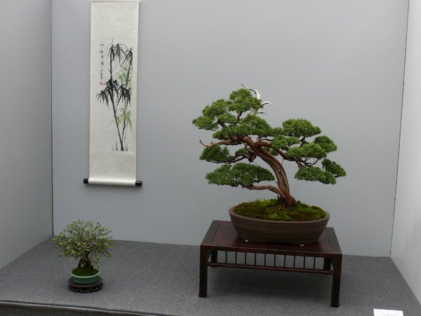 P1100025k.JPG