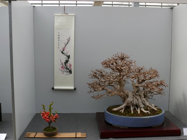 P1100026k.JPG