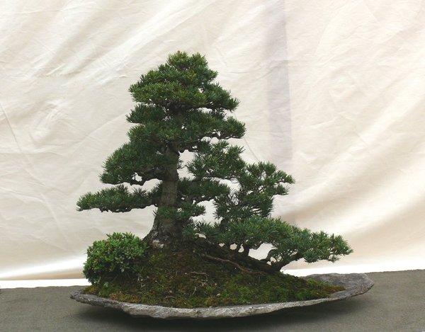 P1100030k.JPG