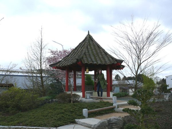 P1100042k.JPG