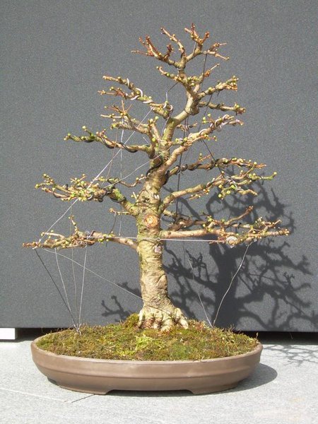 K800_008.JPG