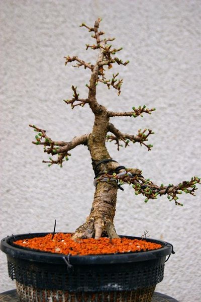 K800_DSC02670[2].JPG